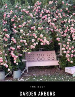Are you searching for the perfect garden arbor for your climbing roses, clematis, jasmine or wisteria? Lifestyle expert, journalist, blogger and flower farmer Candie Anderson of candieanderson.com has the scoop on the best wood and vinyl garden arbors in a variety of design styles and price ranges.