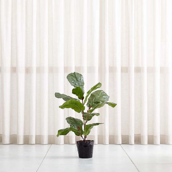 Crate&Barrel Artificial 3.5' Fiddle Leaf Fig Tree faux fiddle leaf fig trees
