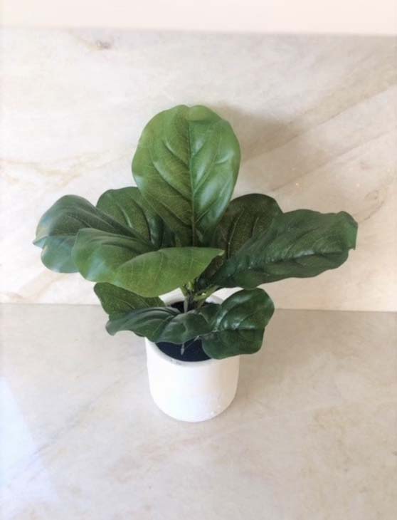 NaturallyHomeAccents Faux Real Touch FIDDLE LEAF Table Top faux fiddle leaf trees