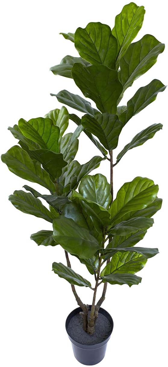24 Best Faux Fiddle Leaf Fig Trees For Every Room In Your Home Candie