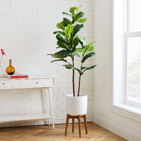 West Elm 5' Faux Fiddle Leaf Fig Tree & Tall Mid-Century Turned Wood Leg Planter Set faux fiddle leaf fig trees