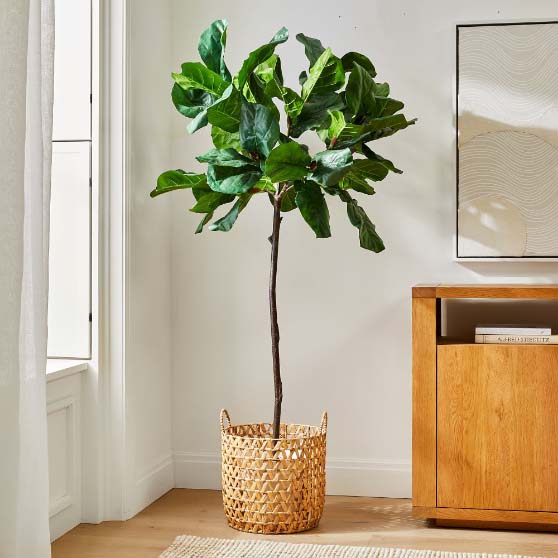 West Elm Faux 7' Fiddle Leaf Fig Tree & Open Weave Zig Zag Basket Planter Set faux fiddle leaf fig trees