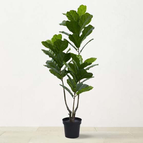 Williams Sonoma Home UV Resistant Fiddle Leaf Tree, 65 faux fiddle leaf fig trees