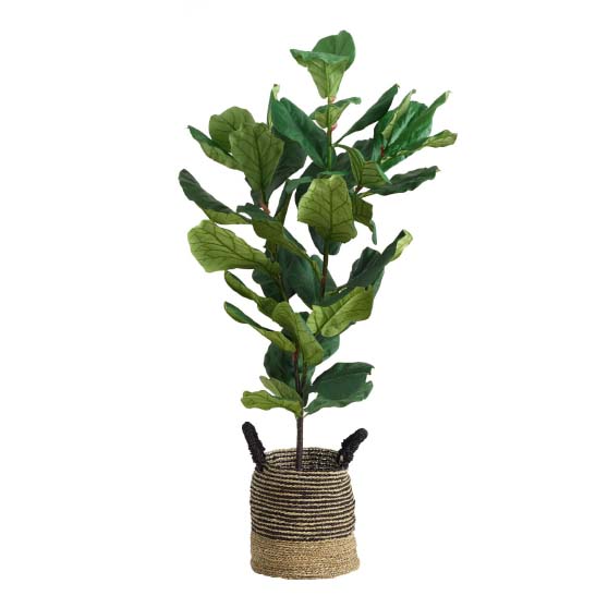 World Market Faux Fiddle-Leaf Fig Plant faux fiddle leaf fig trees