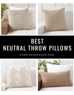 Are you searching for the perfect decorative pillow for your living room, bedroom or patio? If so, you will absolutely adore the gorgeous neutral throw pillows that lifestyle expert, journalist and interior design blogger Candie Anderson of candieanderson.com shared! They are perfect for fall, winter, spring, and summer.