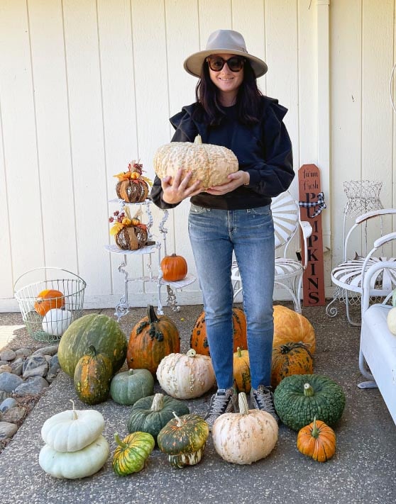 Style expert, journalist and fashion blogger Candie Anderson of candieanderson.com has the scoop on the best casual ruffle sleeve sweatshirt for fall.