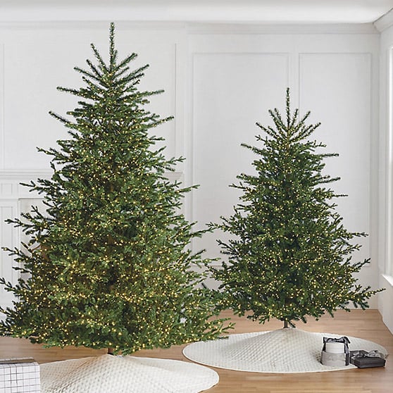 Frontgate Starry White Spruce Tree best sparse christmas trees