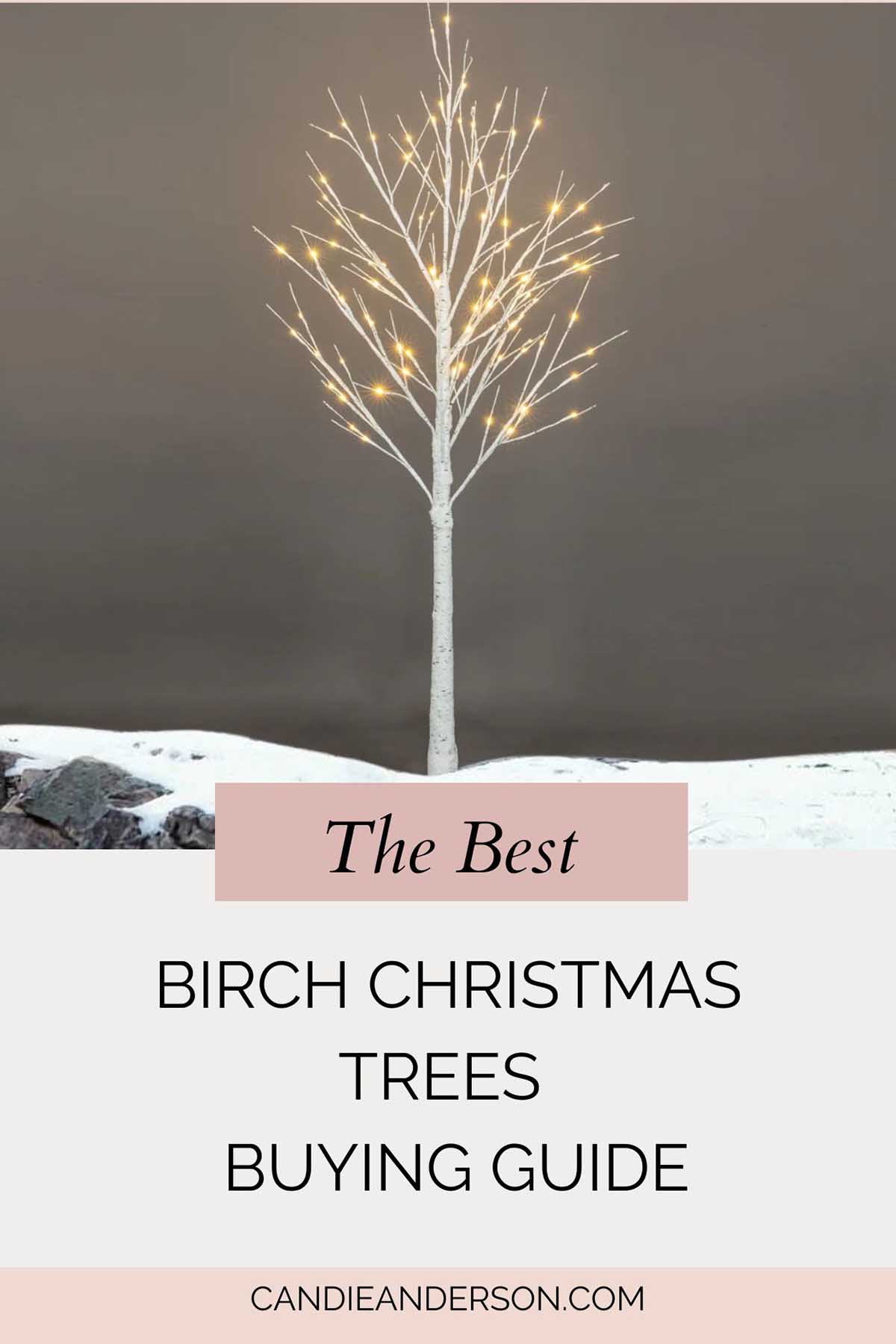 Lifestyle expert, journalist and interior design blogger Candie Anderson of candieanderson.com shares the best birch Christmas trees buying guide.