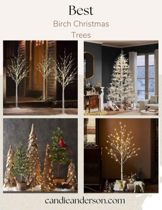 Lifestyle expert, journalist and interior design blogger Candie Anderson of candieanderson.com has the scoop on the 10 best birch Christmas trees in every top interior design, style and. trend.