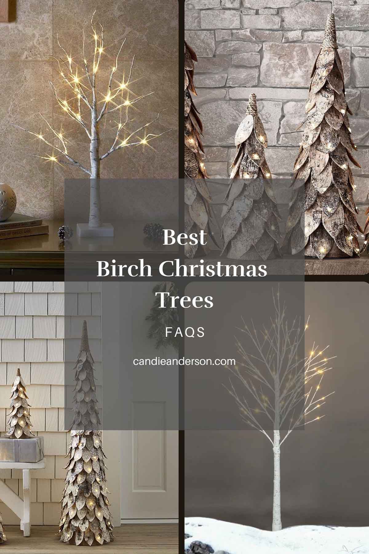 Lifestyle expert, journalist and interior design blogger Candie Anderson of candieanderson.com has the scoop on the most frequently asked questions about birch Christmas trees.