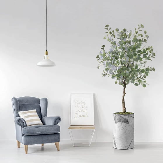 Primrue 57" Artificial Eucalyptus Plant in Planter