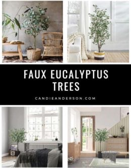 Lifestyle expert, journalist and interior design blogger Candie Anderson of candieanderson.com has the scoop on the best faux eucalyptus trees in a variety of styles and trends.