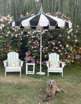 Candie Anderson's dog is resting in front of her white Adirondack chairs adorned with lemon throw pillows.