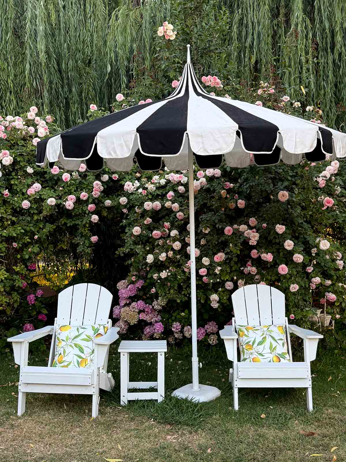 Italian summer white Adirondack chairs with lemon pillows and a black and white pagoda patio umbrella at Candie Anderson's flower farm.