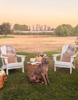 Lifestyle expert, journalist and interior design blogger Candie Anderson of candieanderson.com shares her white Adirondack chairs adorned with fall throw pillows and blankets. They look great on her patio adorned with woven baskets, faux pumpkins, patio furniture, and her Weimaraner Griffey.