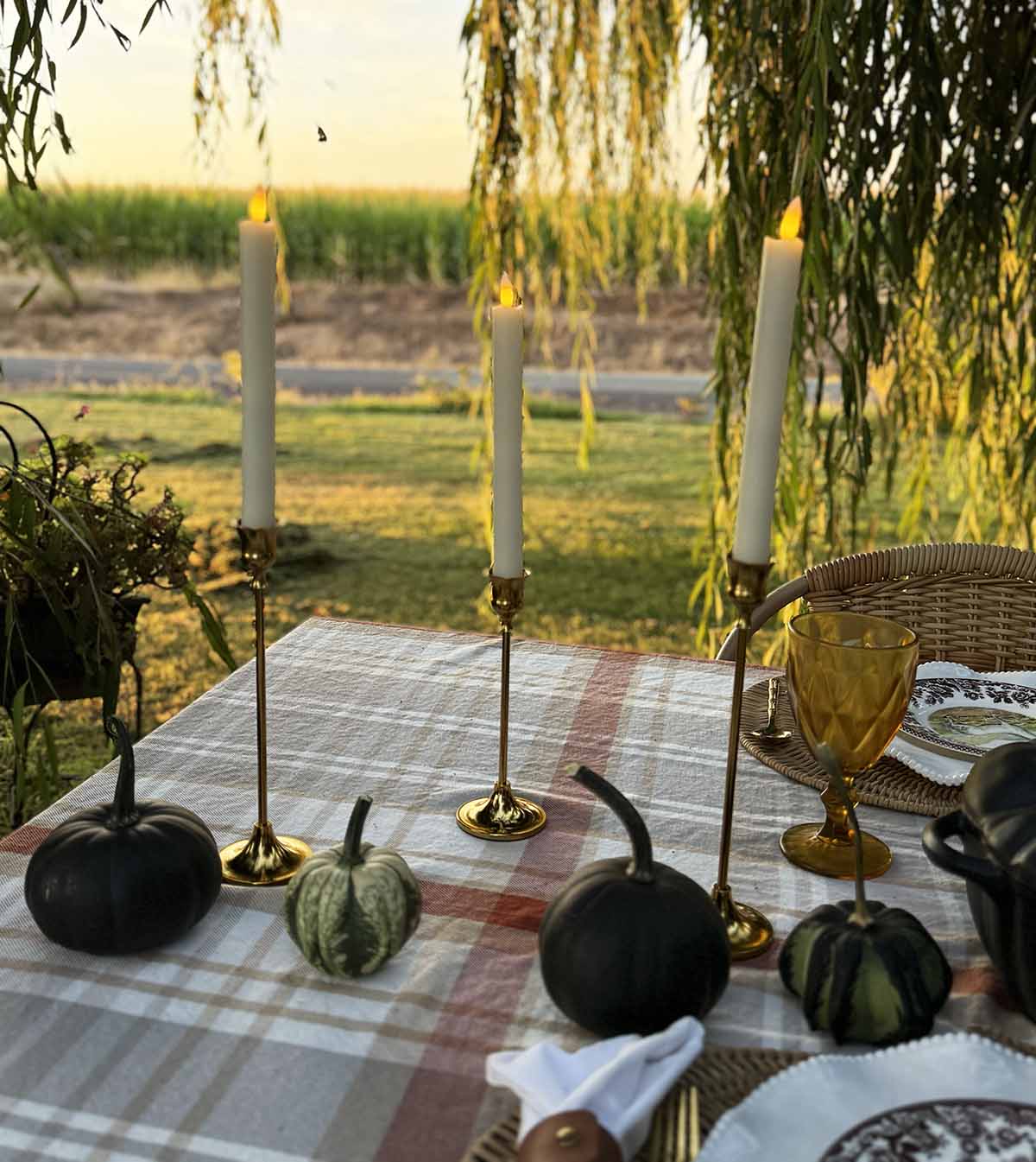 Entertaining expert, Candie Anderson shares her gorgeous brass tapered candlestick holders, and battery powered tapered candles on her elegant fall tablescape.
