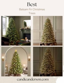 Lifestyle expert, journalist and interior design blogger Candie Anderson of candieanderson.com has the scoop on the best Balsam Fir Christmas trees.
