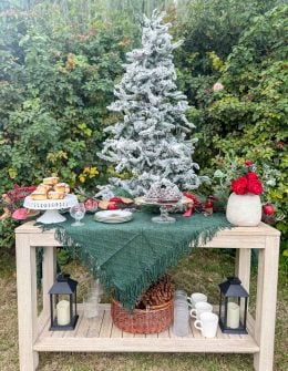 Entertaining expert, journalist and blogger Candie Anderson shows you how to create a cozy holiday party with a festive, easy and effortless holiday console table that you can recreate.