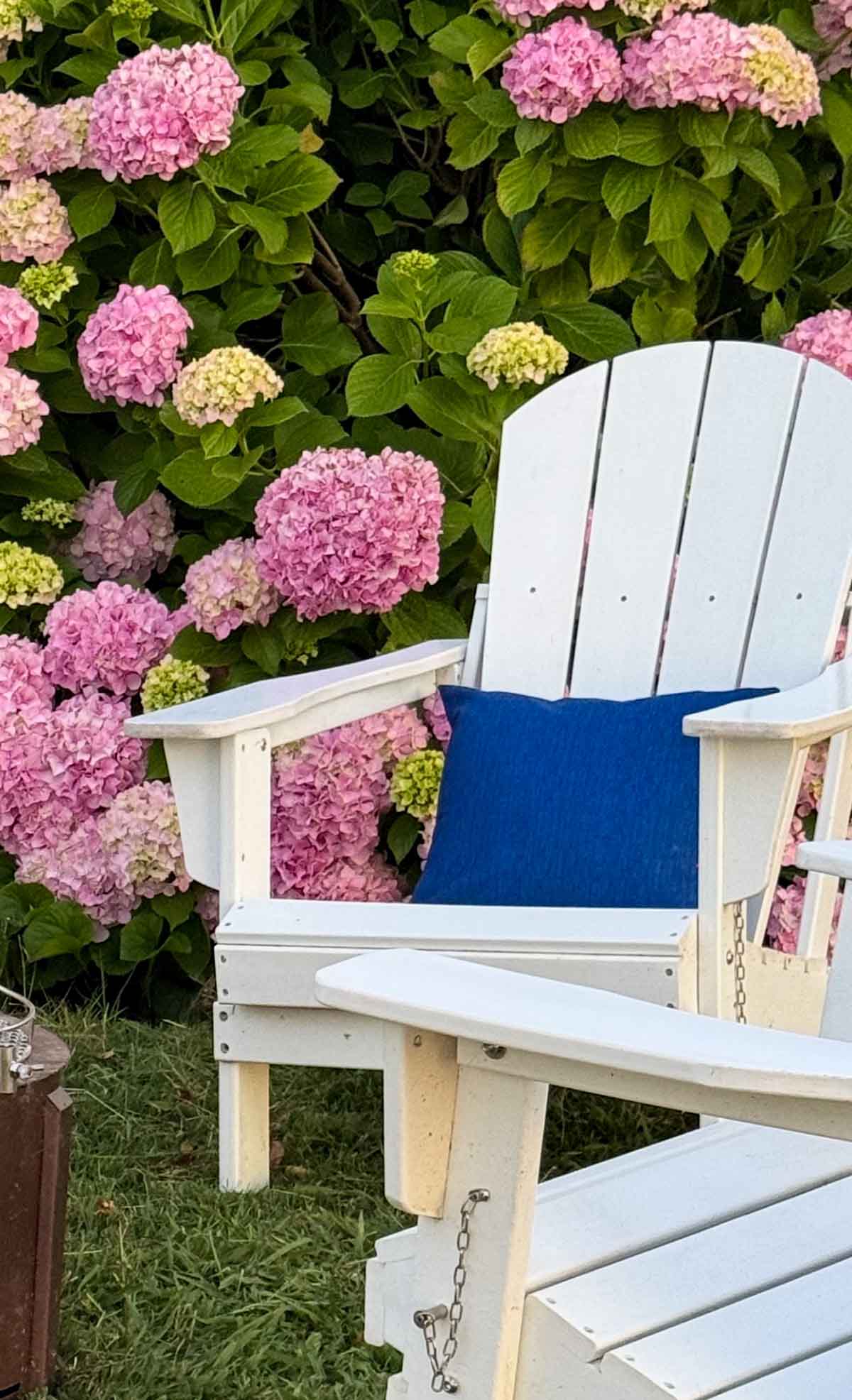Lifestyle expert, journalist and entertaining blogger Candie Anderson of candieanderson.com shares how she styled her white Adirondack chair with a blue outdoor throw pillow and her pink hydrangeas as the backdrop.