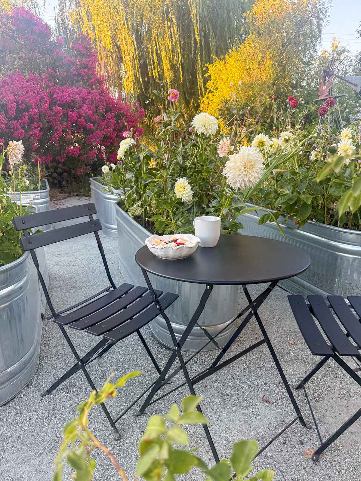 Lifestyle expert, journalist and interior design blogger Candie Anderson of candieanderson.com shares her black bistro set. It's perfect for eating breakfast in the dahlia garden!