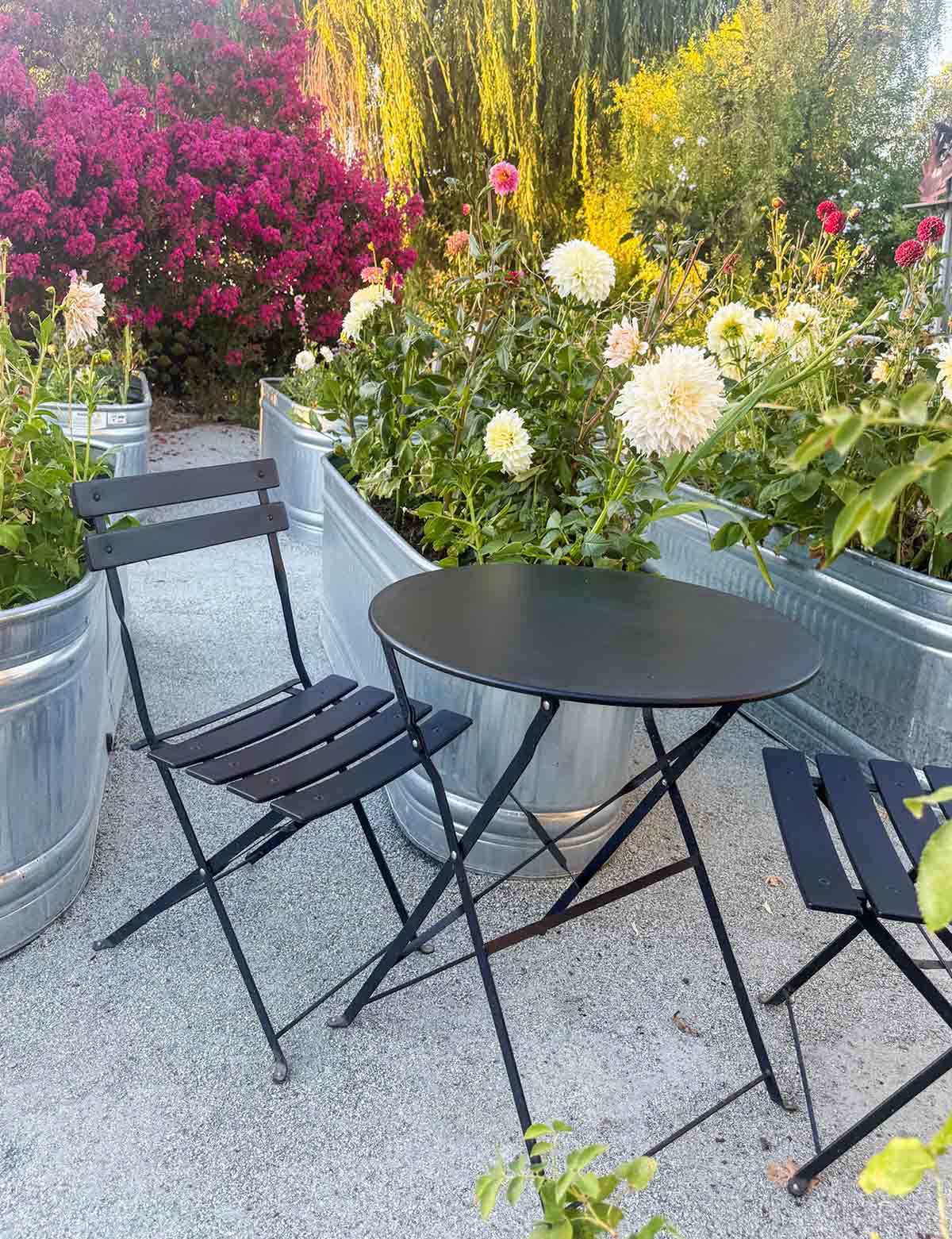 Lifestyle expert, journalist and interior design blogger Candie Anderson of candieanderson.com shares her beautiful black outdoor bistro set in her new dahlia garden at her flower farm!