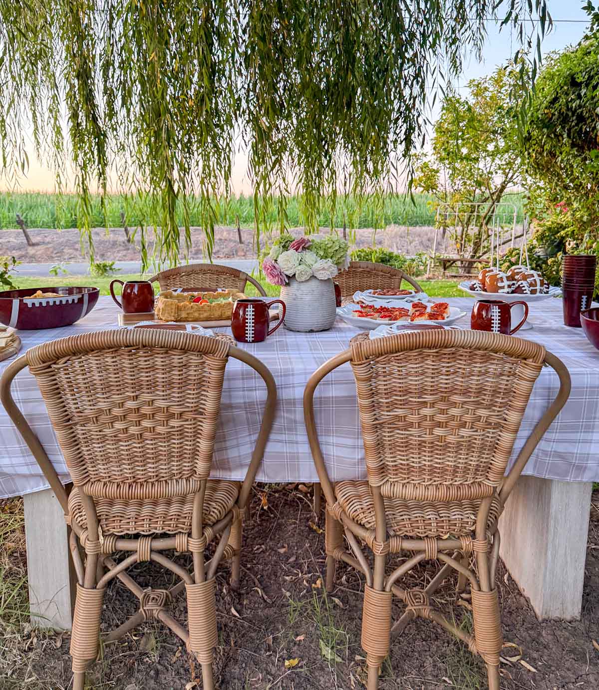 Entertaining expert, journalist and lifestyle blogger Candie Anderson of candieanderson.com shares a gorgeous football tailgate tablescape that is easy to recreate and will wow your guests!
