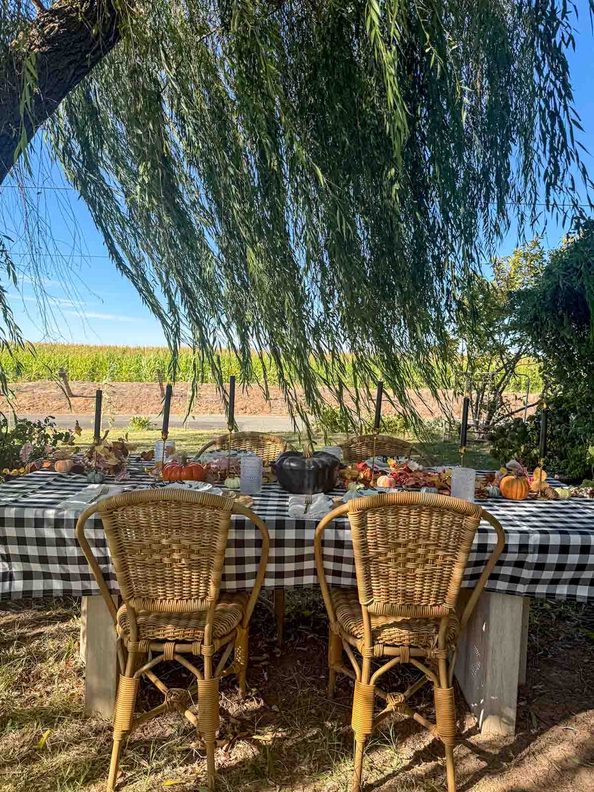 Entertaining expert, journalist and lifestyle blogger Candie Anderson of candieanderson.com shares how she styled her outdoor dining table for Halloween with a black and white plaid tablecloth.