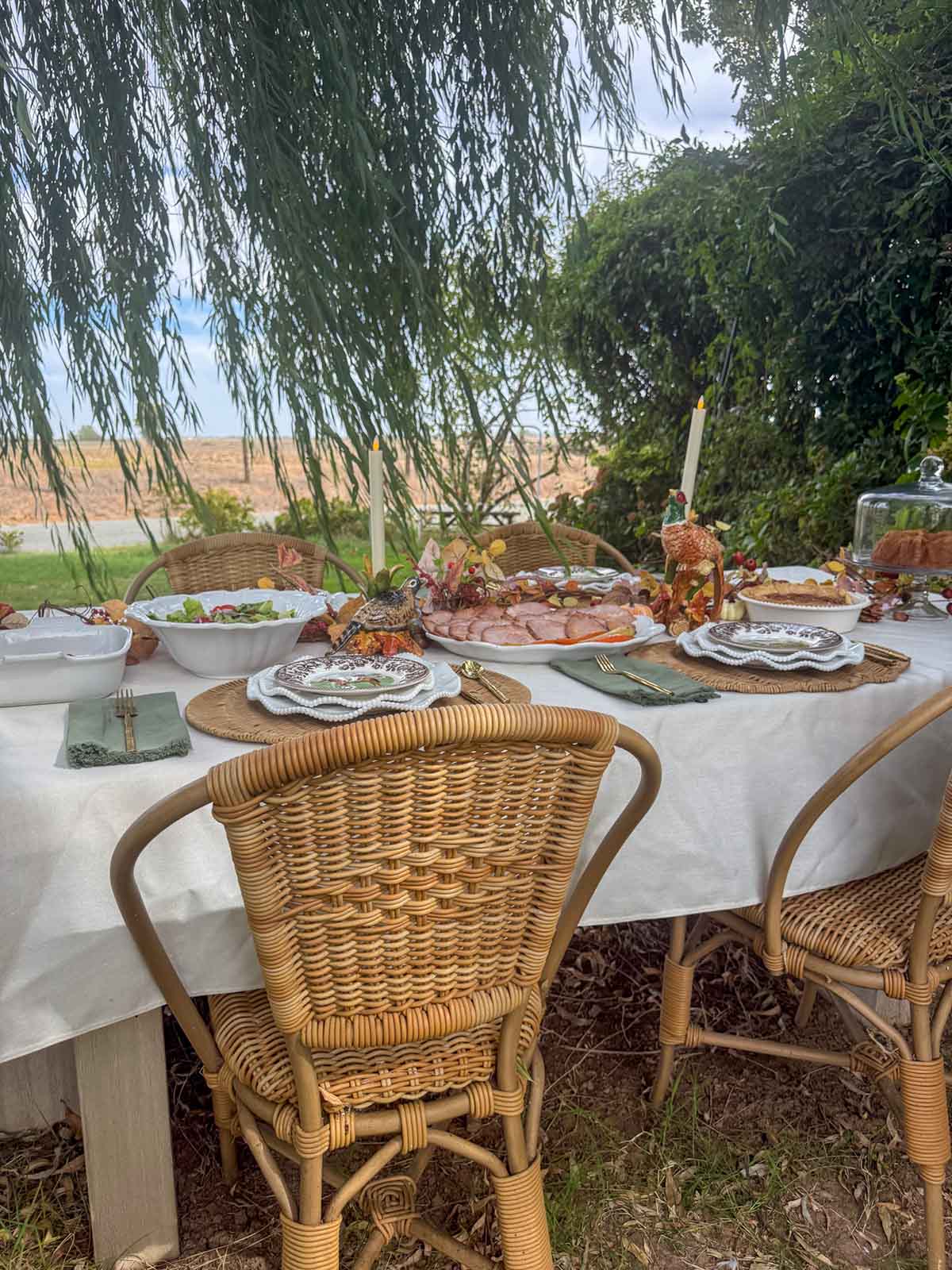 Entertaining expert, journalist and lifestyle blogger Candie ANderson of candieanderson.com shares the gorgeous Thanksgiving tablescape she created with delicious food and charming Thanksgiving decor.