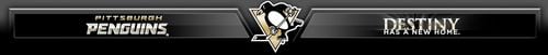 pittsburgh penguins