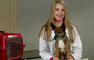 dr. ruth macpete with dog chuck during interview with candace rose anderson.