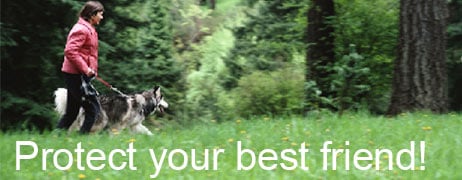 protect your best friend while walking your dog.