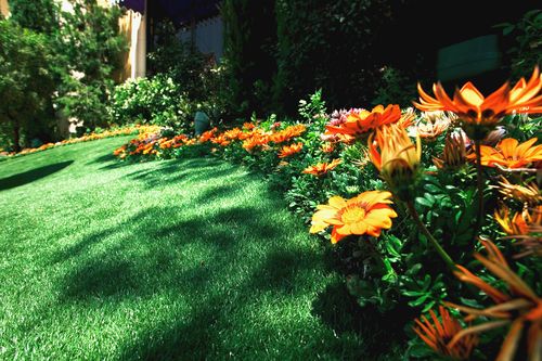 Basic Lawn with Flowers